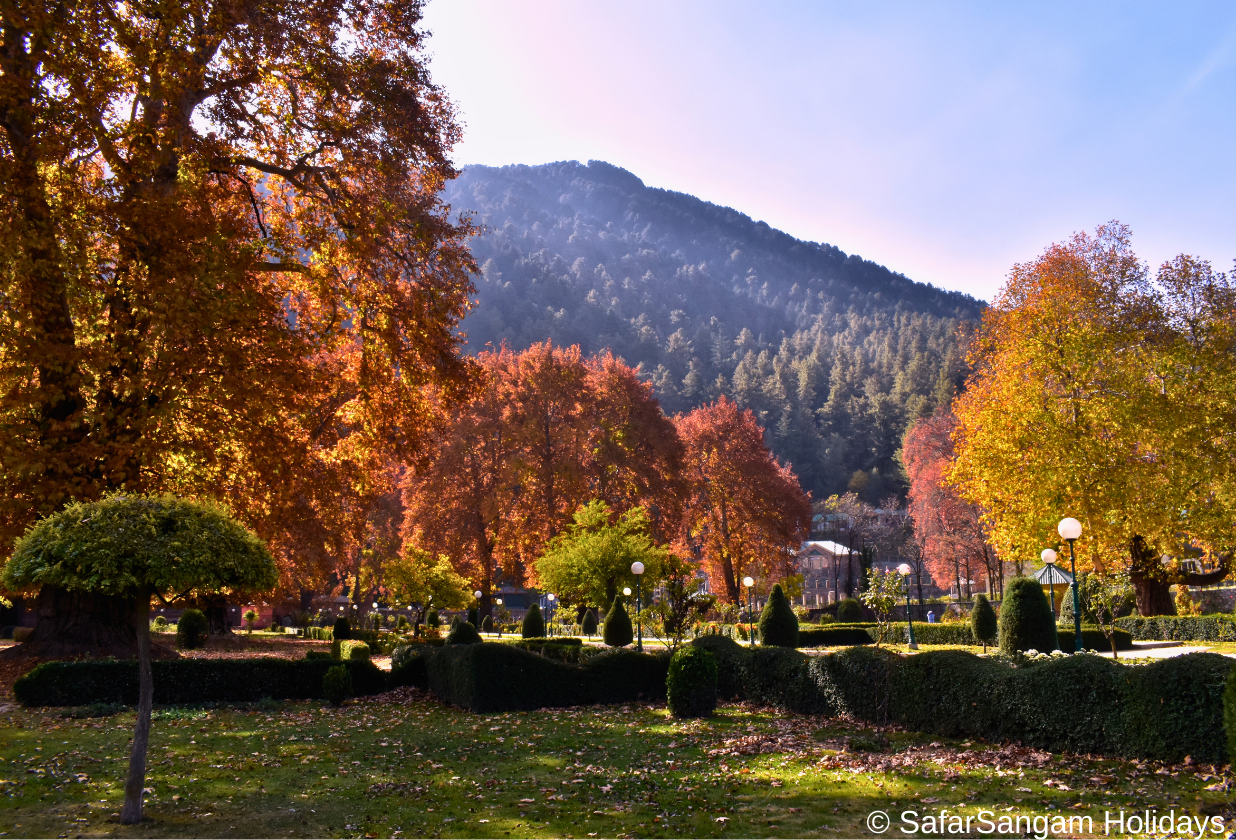 Verinag photo